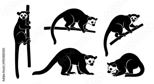 Set of lemur silhouettes in various poses on white background, vector illustration