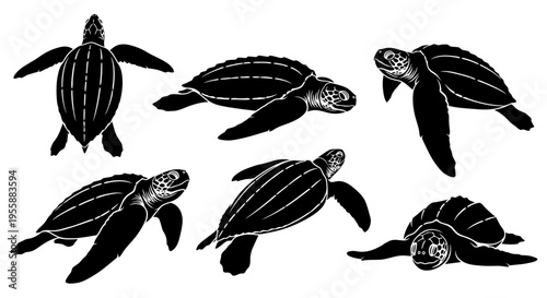 Set of Leatherback Sea Turtle Silhouettes in Various Poses