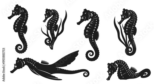 Set of Seahorse Silhouettes: Marine Life, Ocean Creatures, Underwater Wildlife