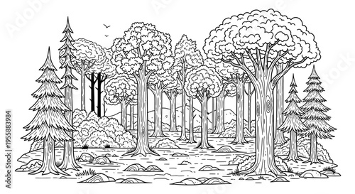 Trees in a forest landscape scene.
