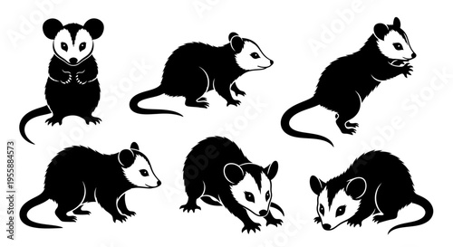 Set of Opossum Silhouettes in Various Poses, Black and White Vector Illustration