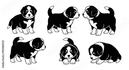 Set of six adorable Bernese Mountain Dog puppies in different playful poses, black and white illustration