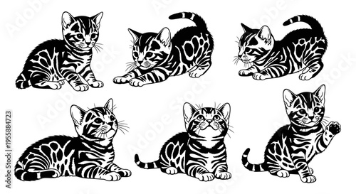 Set of Six Adorable Bengal Kittens in Various Playful Poses, Black and White Line Art