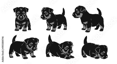 Set of six adorable black and tan puppies playing and posing on a white background.