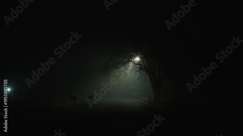 Empty residential street at night covered in dense fog, where a streetlight illuminates the tree canopy and part of the road, creating a dark atmosphere of silence, isolation, and uneasy anticipation
