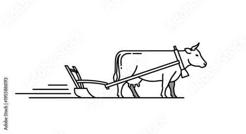 A cow pulling a plow outdoors.