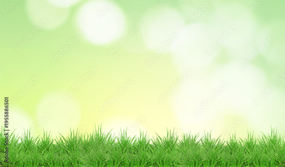 Fototapeta premium Lush spring grass against blurred green background with bokeh lights. Banner design
