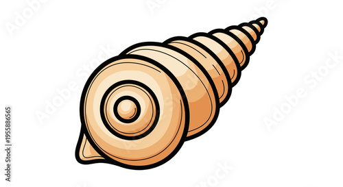Detailed illustration of a seashell spiral.