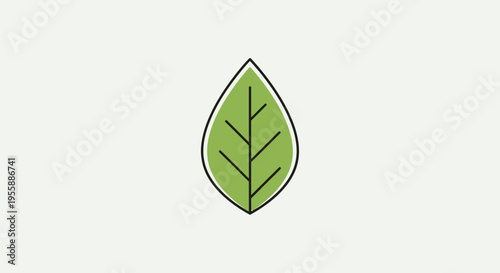 Green leaf illustration with veins.