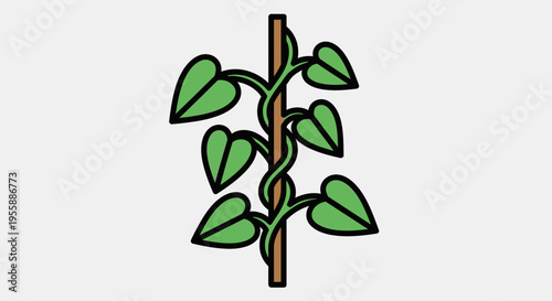 Green plant climbing up a stem.