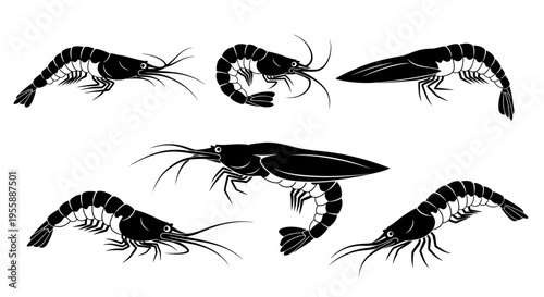 Set of Shrimp Silhouettes, Seafood Illustration, Marine Life Vector Graphics