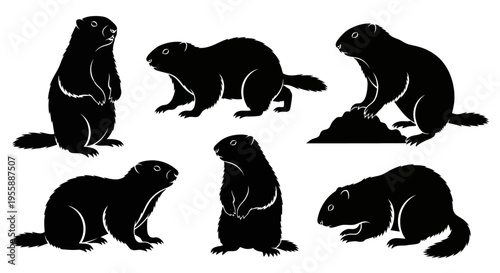 Set of Silhouette Groundhog Icons: Digging, Standing, Sitting, and Walking