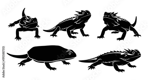 Set of Silhouette Horned Lizards in Different Poses, Vector Illustration