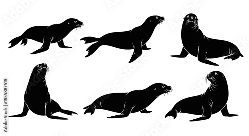 Set of Silhouette Seals in Various Poses on White Background