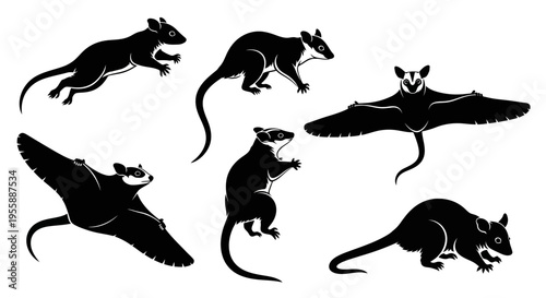 Set of Silhouettes of Australian Marsupials and Gliding Mammals in Motion
