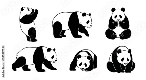 Set of Six Adorable Panda Bears in Various Poses, Black and White Vector Illustrations