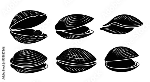 Set of six black and white clam shell illustrations, open and closed, isolated on white background