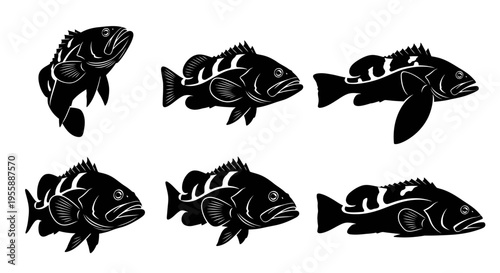 Set of Six Black and White Illustrations of a Grouper Fish in Various Poses