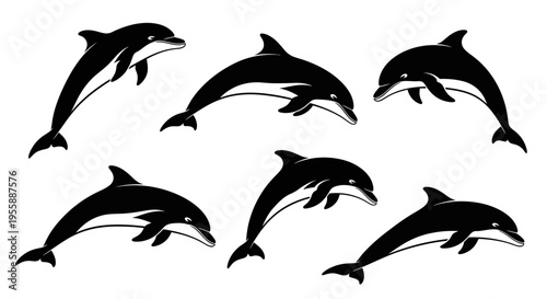 Set of Six Black and White Dolphin Silhouettes Leaping and Swimming in Water