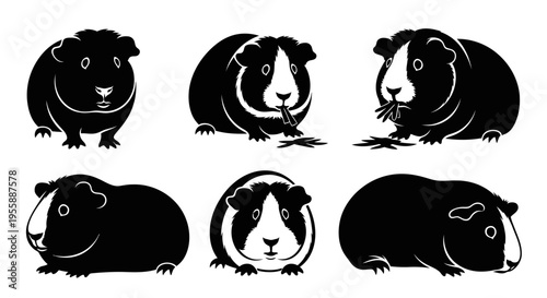 Set of Six Black and White Guinea Pig Silhouettes, Various Poses, Isolated on White Background