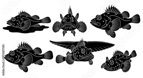 Set of Six Black and White Illustrations of a Grouper Fish in Various Poses
