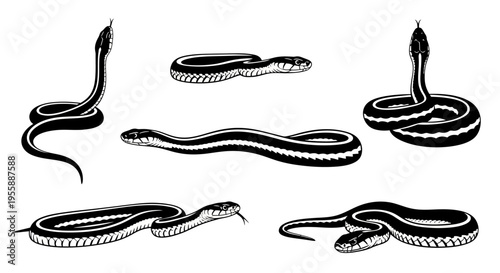 Set of Six Black and White Illustrations of Garter Snakes in Various Poses