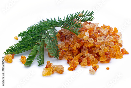 Gum Arabic Resin with Acacia senegal Leaf on White Background