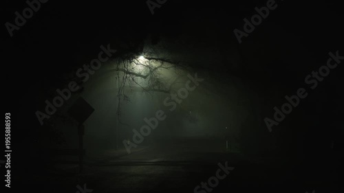 Empty urban street at night in dense fog, where a streetlight illuminates tree branches and a road sign, creating a dark atmosphere of uncertainty, silence, and uneasy anticipation