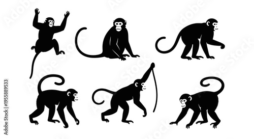 Set of six black monkey silhouettes in various poses on a white background