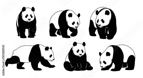 Set of six black and white panda illustrations in various poses