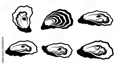 Set of Six Black and White Oyster Illustrations, Isolated on White Background