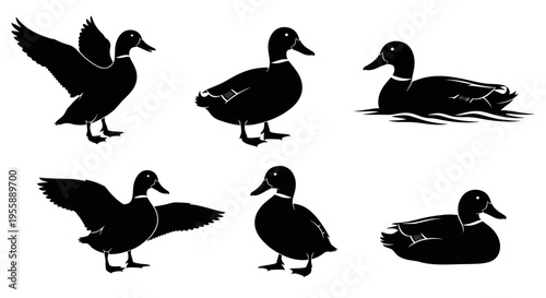 Set of Six Black Duck Silhouettes: Flying, Standing, and Swimming
