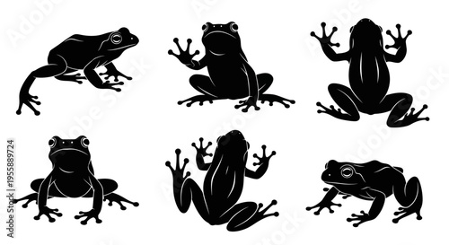 Set of Six Black Frog Silhouettes in Various Poses on White Background