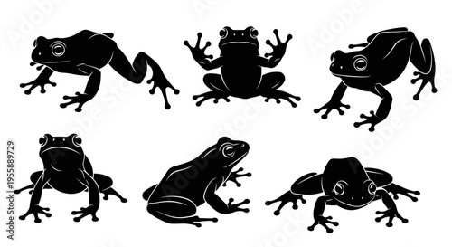 Set of Six Black Frog Silhouettes on White Background, Various Poses