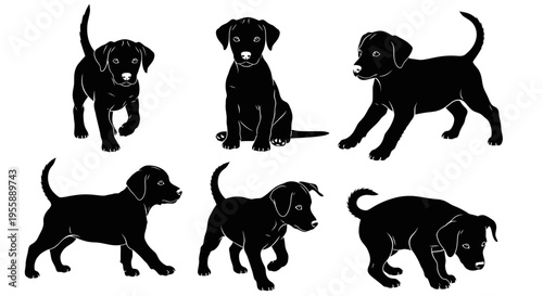 Set of Six Black Labrador Puppies Silhouettes in Various Poses