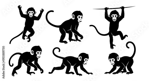 Set of six black monkey silhouettes in various playful poses on white background