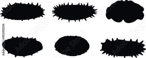 Sea cucumber silhouette set. Marine invertebrate vector collection with spiky and smooth body variations. Ocean animal silhouettes isolated for biology, education, and graphic design use.