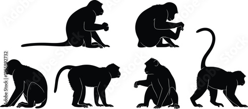 Macaque monkey silhouettes. Asian primate sitting, crouching and walking poses collection. Wild forest monkey wildlife vector illustration set.