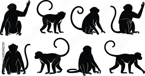 Monkey silhouette set. Primate sitting, waving and walking poses with curled tails. Jungle wildlife monkey vector illustration collection.