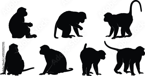 Macaque monkey silhouette set. Asian primate sitting, crouching and walking poses. Wild forest macaque wildlife animal vector illustration collection.