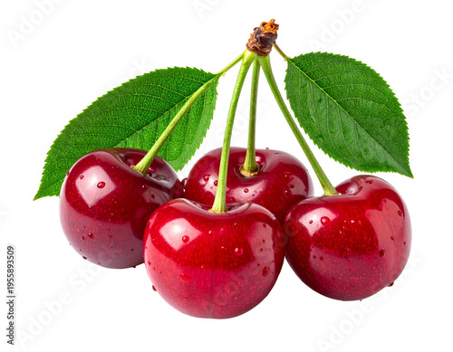 Wallpaper Mural Kirschen Torontodigital.ca