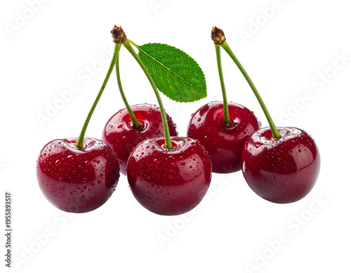 Wallpaper Mural Kirschen Torontodigital.ca