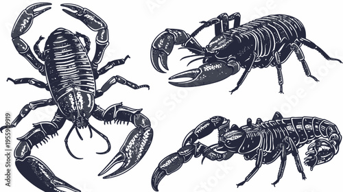 Four stylized dark gray scorpions with large claws on a white background