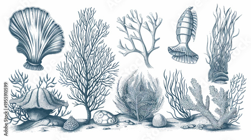 Watercolor style illustration of various sea elements in blue tones on a white background