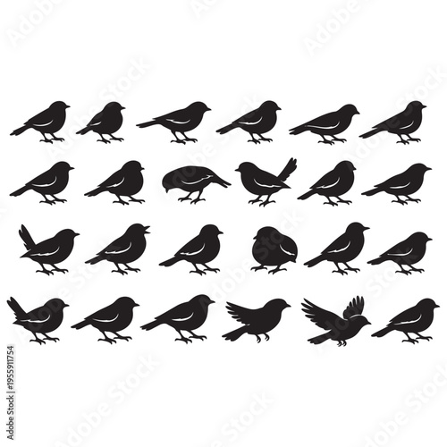 Large Set of Bird Silhouettes in Perching and Flying Poses — Black Vector Collection of Sparrows, Finches, Doves and Wild Songbirds for Nature, Tattoo, Logo and Decorative Design