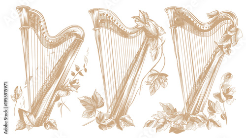Three vintage-style beige harps adorned with floral vines and foliage on a white backdrop