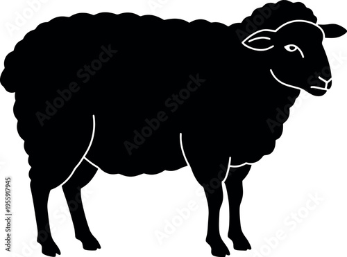 Silhouette Black Sheep Standing in White Background for Farming and Agriculture