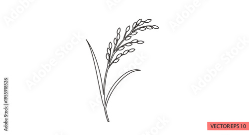 Minimalist line art of a single rice stalk with grains and leaves on a white background