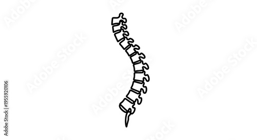 Human Spine Anatomy Icon, Vertebrae Column Outline