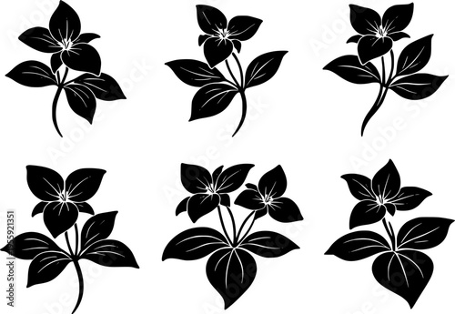 6 Premium Black Trillium Flowers Icons. Botanical Graphic Elements. Design Element. Clip art. Suitable for artwork design. Editable for any design.